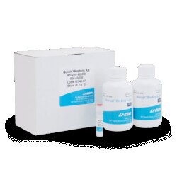 LICOR IRDye 680LT Goat anti-Rat IgG Secondary Antibody (0.5 mg), Quantity: