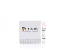 STEMCELL Technologies RosetteSep Human B Cell Enrichment Cocktail, For