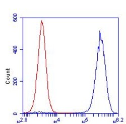Abcam Mouse monoclonal [E11AE12BD4] to Cyclophilin F, Quantity: Each of