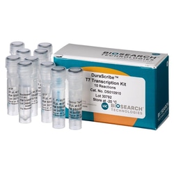 BIOSEARCH TECHNOLOGIES INC (Lucigen) DuraScribe T7 Transcription Kit, 10