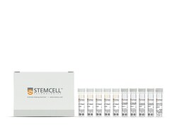 STEMCELL Technologies EasySep Human Myeloid DC Enrichment Kit, For processing: