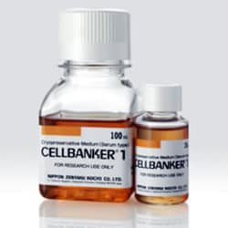 Amsbio LLC&nbsp;CELLBANKER 1 (100ml)
