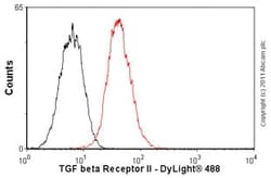 Abcam Mouse monoclonal [MM0056-4F14] to TGF beta Receptor II - BSA and