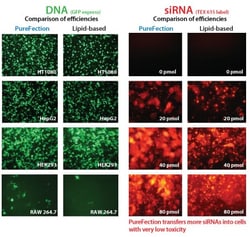 System Biosciences LLC&nbsp;PUREFECTION TRANSFECTION REAGENTPureFection Transfection Reagent = 1 mL