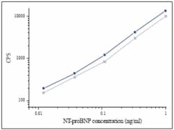 Abcam Mouse monoclonal [15F11] to NT-proBNP, Quantity: Each of 1