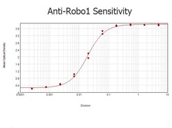 Abcam Rabbit polyclonal to Robo1, Quantity: Each of 1
