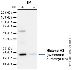 Abcam Rabbit polyclonal to Histone H3 (symmetric di methyl R8), Quantity: