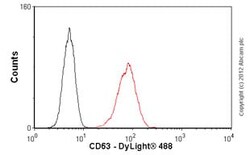 Abcam Mouse monoclonal [TS63] to CD63 - BSA and Azide free, Quantity: Each