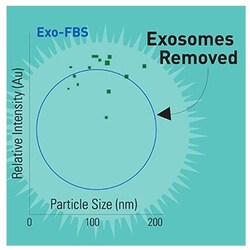 System Biosciences LLC EXOSOME-DEPLTED FBS MEDI 250ML, Quantity: Each of