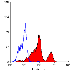 Abcam Mouse monoclonal [DX11] to CD226, Quantity: Each of 1