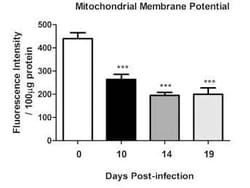 Abcam TMRE-Mitochondrial Membrane Potential Assay Kit, Quantity: Each of