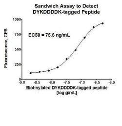 Abcam PE Mouse monoclonal [M2] to DDDDK tag (Binds to FLAG tag sequence),