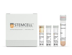 STEMCELL Technologies EasySep Mouse Naïve CD4+ T Cell Isolation Kit, For