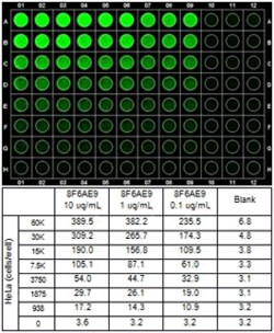 Abcam Mouse monoclonal [8F6AE9] to CPT1A, Quantity: Each of 1