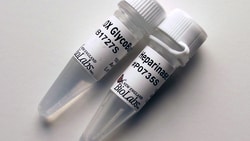 New England Biolabs, Inc. Bacteroides Heparinase I – 600 units, Quantity: