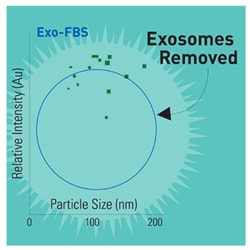 System Biosciences LLC EXOSOME DEPLETED FBS, Quantity: Each of 1