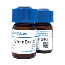 Stemculture LLC StemCultures LLC StemBeads FGF2, Quantity: Each of 1