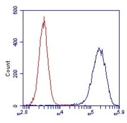 Abcam Mouse monoclonal [2E3GC12FB2AE2] to SDHA, Quantity: Each of 1