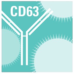 System Biosciences LLC&nbsp;ANTI-CD63 W/ GOAT ANTI-RABBIT AntibodyAnti-CD63 Antibody (rabbit anti-human, mouse) with goat anti-rabbit HRP secondary antibody = 25ul