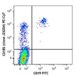 Biolegend PE/Cyanine7 anti-human CD185 (CXCR5), Quantity: Each of 1