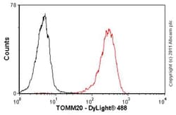 Abcam Mouse monoclonal [4F3] to TOMM20 - BSA and Azide free, Quantity: