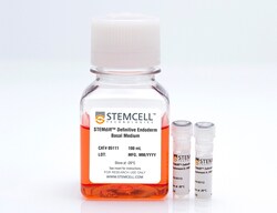 STEMCELL Technologies STEMdiff Definitive Endoderm Kit, Size: 1 Kit, Quantity: