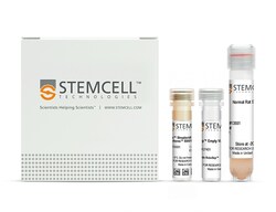 STEMCELL Technologies EasySep Mouse Streptavidin RapidSpheres Isolation