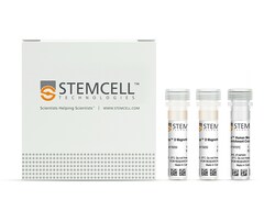 STEMCELL Technologies EasySep Human Memory CD4+ T Cell Enrichment Kit,