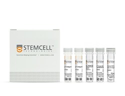 STEMCELL Technologies EasySep Human Pan-DC Pre-Enrichment Kit, For processing: