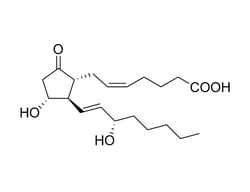 STEMCELL Technologies Prostaglandin E2, Size: 5 mg, Quantity: Each of 1