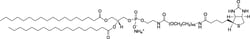 Avanti Polar Lipids DSPE-PEG(2000) BIOTIN 25MG, Quantity: Each of 1