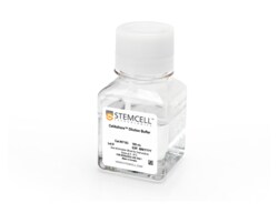 STEMCELL Technologies Vitronectin XF , Size: 2 mL, Quantity: Each of 1