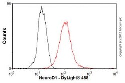 Abcam Mouse monoclonal [3H8] to NeuroD1 - BSA and Azide free, Quantity: