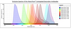 Abcam&nbsp;Donkey Anti-Goat IgG H&L (Alexa Fluor 488)