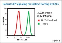 System Biosciences LLC&nbsp;NF-KB/JURKAT/GFP CELL LINE