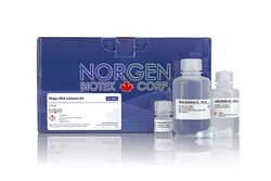 Norgen Biotek Corp Phage DNA Isolation Kit, 50 Prep, Quantity: Each of