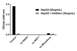 Abcam&nbsp;NQO1 Activity Assay Kit