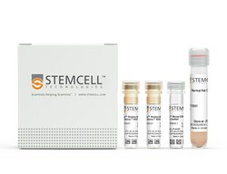 STEMCELL Technologies EasySep Mouse CD8+ T Cell Isolation Kit, For processing: