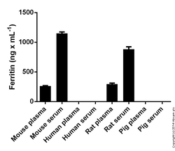 Abcam Mouse Ferritin ELISA Kit (FTL), 1 x 96 Tests, Quantity: Each of 1