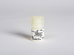 Lonza Walkersville Gentamicin sulfate-Amphotericin (GA-1000) , 5 mL, Quantity: