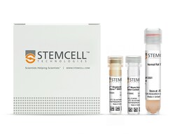 STEMCELL Technologies EasySep Mouse Naïve CD8+ T Cell Isolation Kit, For