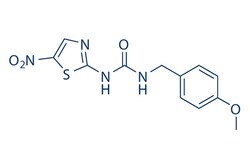 Selleck Chemical LLC AR-A014418 10mg 487021-52-3 GSK-3 Inhibitor VIII,