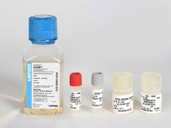 Lonza Walkersville RtEGM Retinal Pigment Epithelial Cell Growth Medium