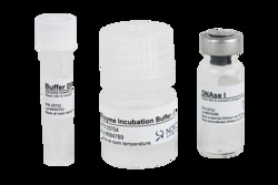 Norgen Biotek Corp RNase-Free DNase I Kit, 50 Reactions