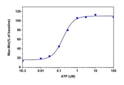 Abcam Fura-2 Calcium Flux Assay Kit - No Wash, Ratiometric, Quantity: Each