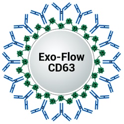 System Biosciences LLC&nbsp;CD63 EXO-FLOW CAPTURE KITCD63 Exo-Flow capture kit (Magnetic streptavidin beads, CD63-biotin capture antibody, Wash and Elution Buffers, Exo-FITC stain) = 10 Reactions