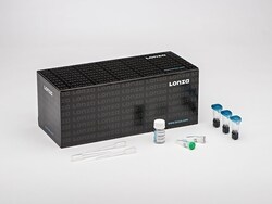 Lonza Walkersville P2 Primary Cell 4D-Nucleofector X Kit L, Quantity: Each