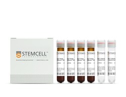 STEMCELL Technologies EasySep Direct Human T Cell Isolation Kit, For processing: