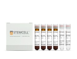 STEMCELL Technologies EasySep Direct Human CD4+ T Cell Isolation Kit, For