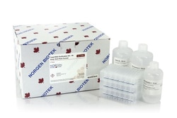 Norgen Biotek Corp Total RNA Purification 96-Well Kit, Quantity: Each of